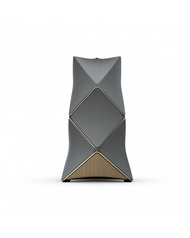 BeoLab 90 Active speaker