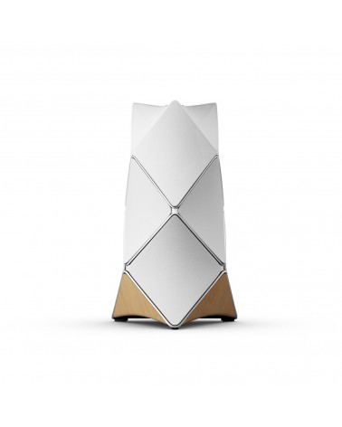 BeoLab 90 Active speaker