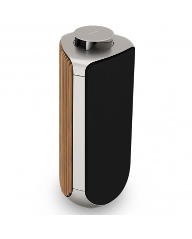 BEOLAB 50 Active Speakers