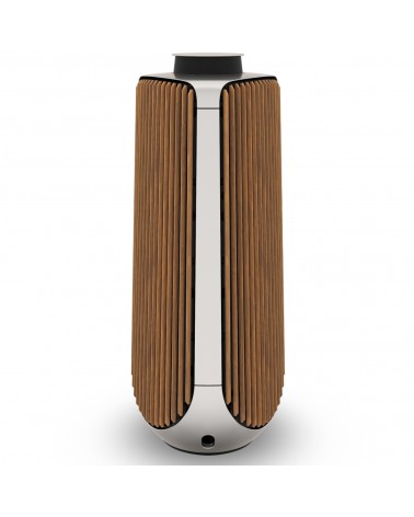 BEOLAB 50 Active Speakers