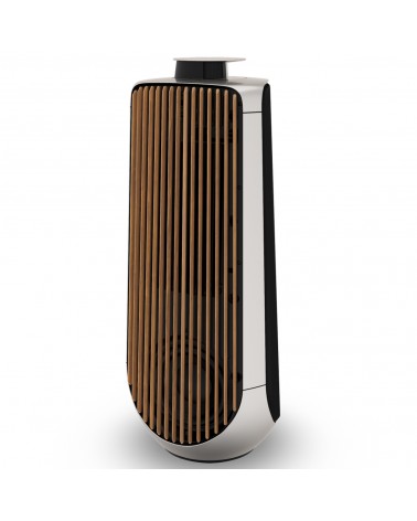 BEOLAB 50 Active Speakers