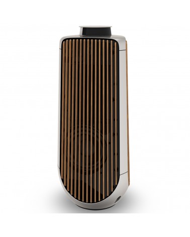 BEOLAB 50 Active Speakers