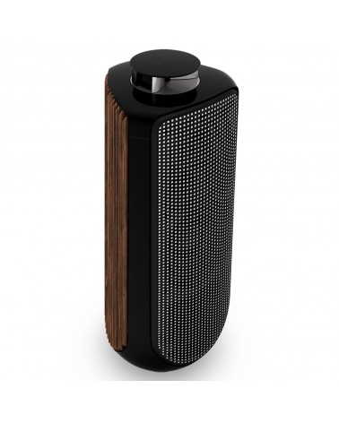 BEOLAB 50 Active Speakers