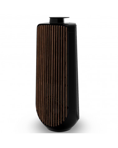 BEOLAB 50 Active Speakers