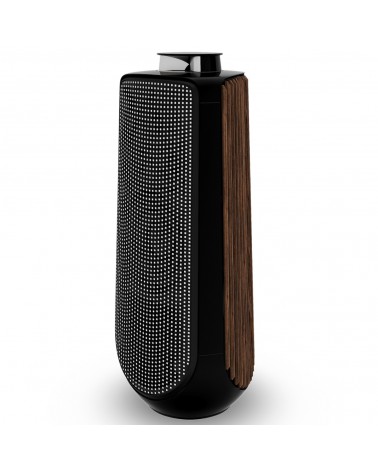 BEOLAB 50 Active Speakers