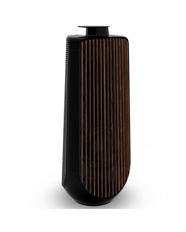 BEOLAB 50 Active Speakers