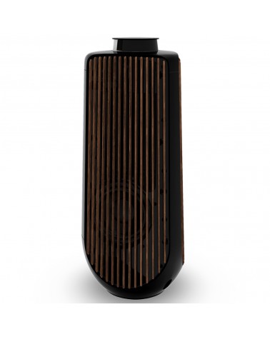 BEOLAB 50 Active Speakers