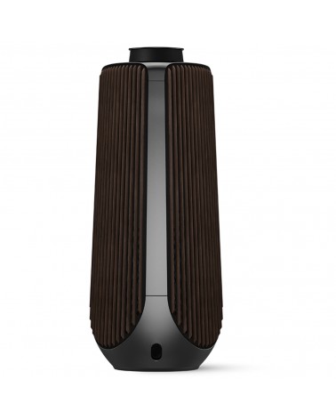 BEOLAB 50 Active Speakers