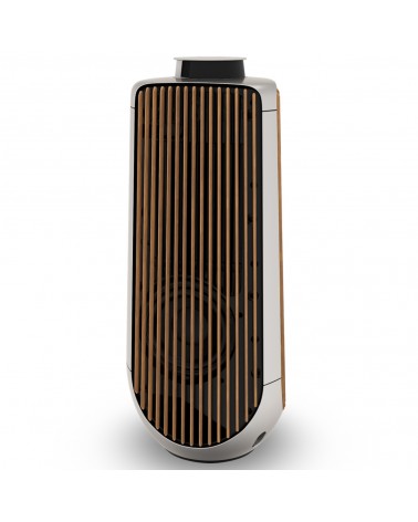 Beolab 50 Active Speakers