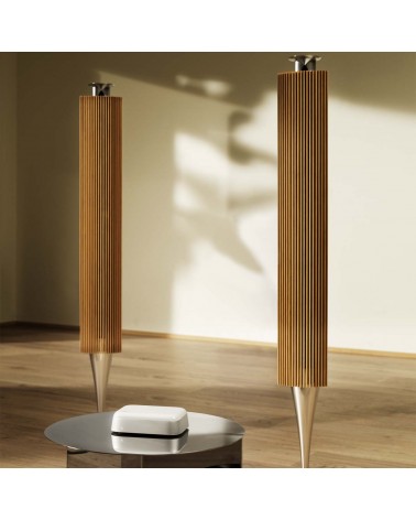 Bang & Olufsen Beoconnect CORE